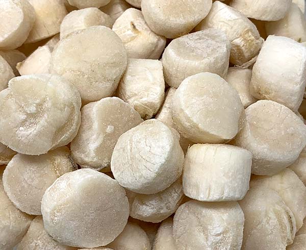 [20028H] 小元贝 CW 80/120 33LBS