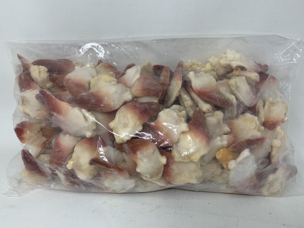 [20022G] (B)北極貝 5.5LBS